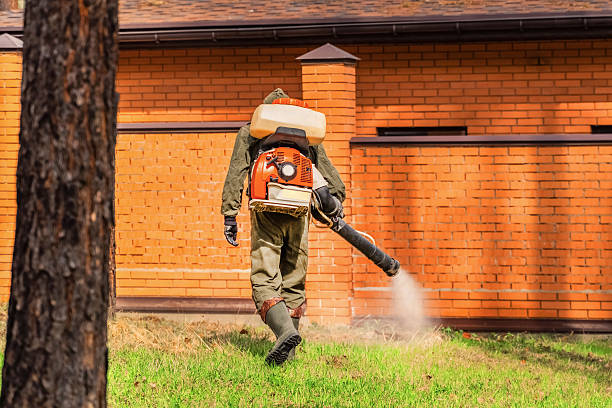 Trusted Mosquito Control service in Hickman, NE - Nex Pest Control
